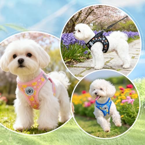 BEAUTYZOO Small Dog Harness and Leash Set, No Pull Puppy Pet Vest- Duck - Image 3