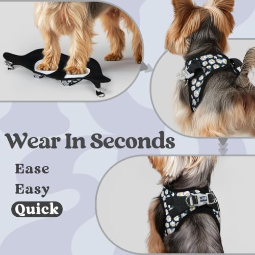 rabbitgoo Step-in Small Dog Harness, Puppy Vest - Image 5