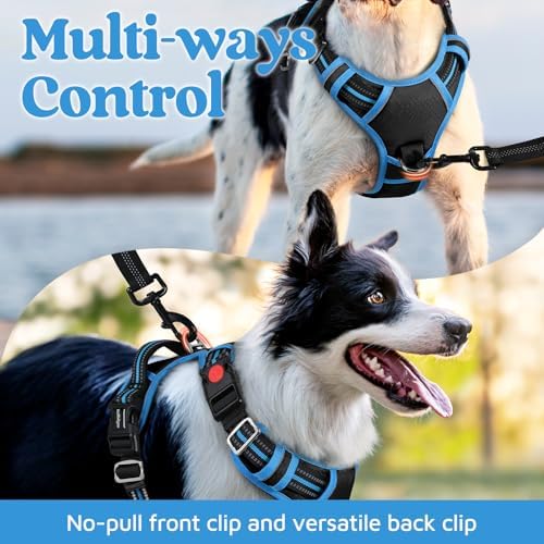 rabbitgoo Dog Harness Small Sized, No Pull 3 Buckles Easy On & Off - Image 3