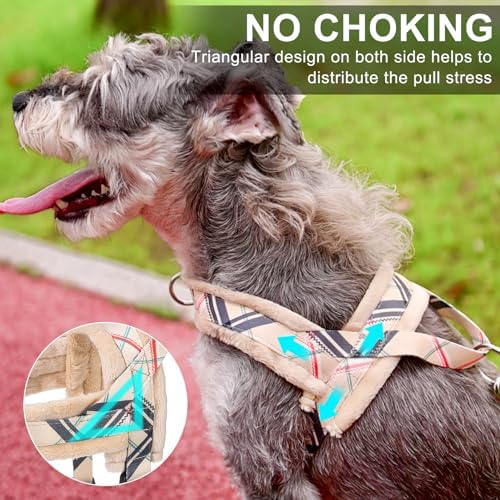 BEAUTYZOO No Pull Small Dog Harness and Leash Set, Soft Puppy Vest Harness - Image 2