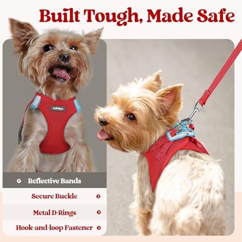 rabbitgoo Dog Harness Medium Sized and Leash Set, Step-in Puppy Pet Vest - Image 5
