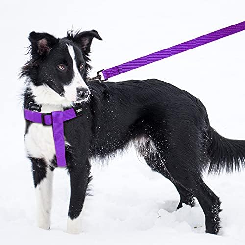 No Pull Dog Harness, Leash & Collar Set, Adjustable Step-in Vest - Image 5