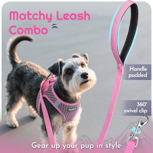 Eagloo Small Dog Harness and Leash Set, Step in Small Sized Puppy Pet Vest - Image 6