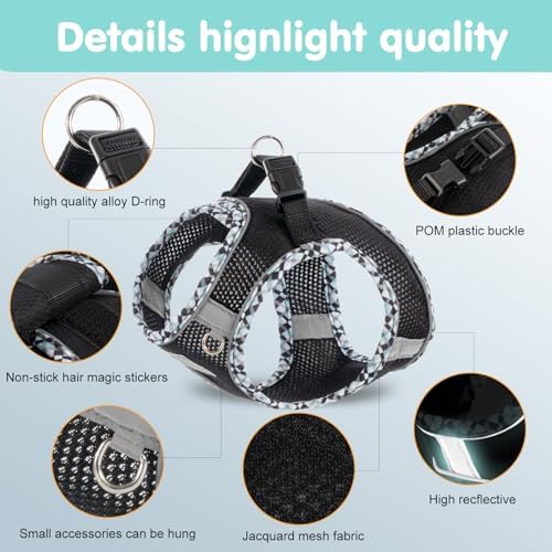 Dog Harness and Leash Set, No Pull Pet Harness - Image 3