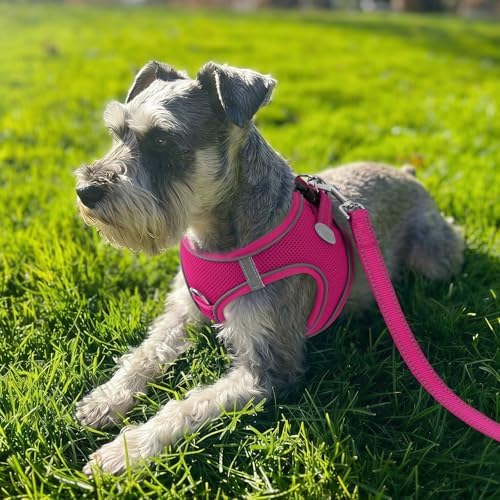 Joytale Step-in Dog Harness, Soft Breathable Mesh, Hot Pink M - Image 2