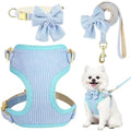 Small Dog Collar Harness and Leash Set, Dog Harness no Pull by Unknown