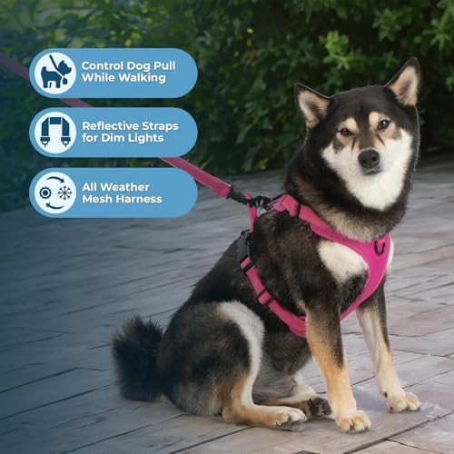 Voyager Dual Attachment No Pull Harness - Image 5