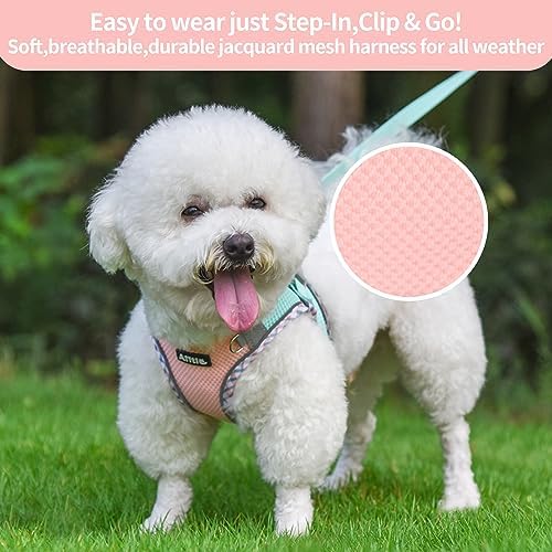 AIITLE Dog Harness Small Sized and Leash Set, Turquoise-Pink XXXS - Image 2