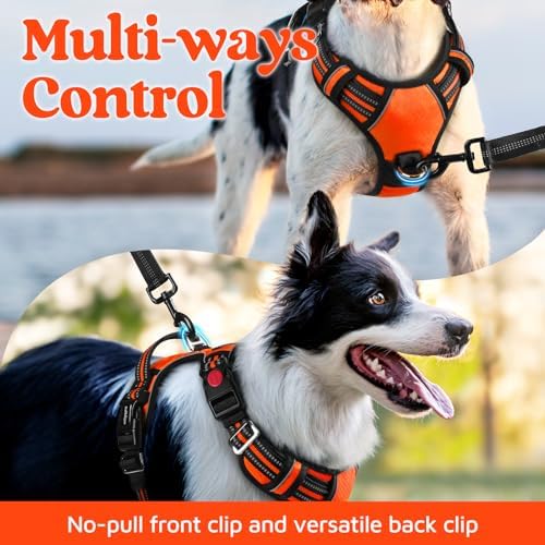 rabbitgoo Dog Harness for Large, No Pull 3 Buckles Easy On & Off - Image 3
