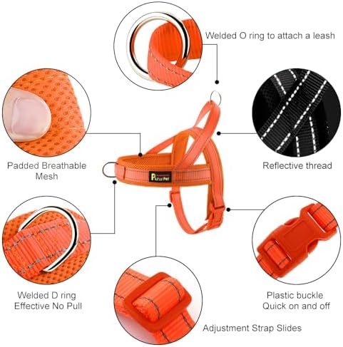 Plutus Pet No Pull Dog Harness for Small Dogs, Breathable Mesh Padded - Image 2