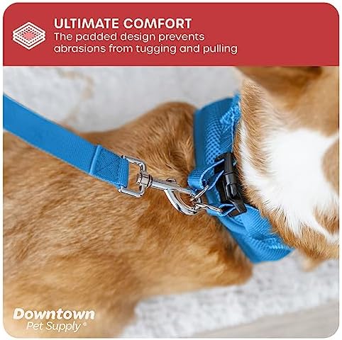 Downtown Pet Supply Step-in Dog Harness – No Pull, Adjustable Padded Mesh - Image 6