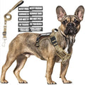 Tactical Dog Harness and Leash Set by MOOGROUPETSFRIEND