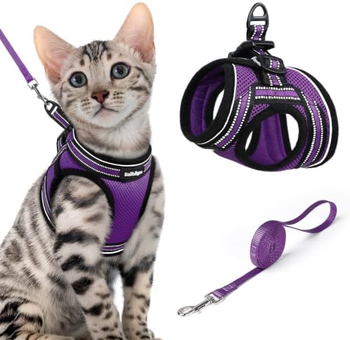 rabbitgoo Cat Harness and Leash Set, Step-in Soft Vest by rabbitgoo