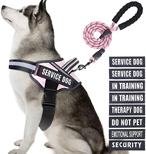 Service Dog Vest Harness and Leash Set, Animire in Training Dog Harness by Animire