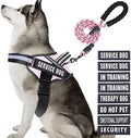 Service Dog Vest Harness and Leash Set, Animire in Training Dog Harness by Animire