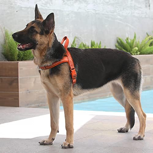 Plutus Pet No Pull Dog Harness for Large Dogs, Breathable Mesh Padded - Image 5