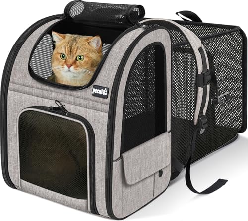 pecute Cat Backpack Expandable, Cat Backpack by pecute