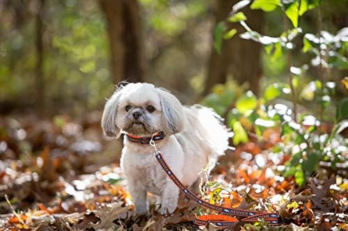Pets First NFL Pet Leash, Denver Broncos - Image 4