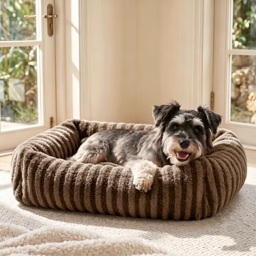 MIXJOY Dog Beds for Small Dogs Cats, Washable Dog Bed by MIXJOY