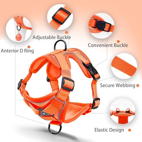 Dog Harness Small Sized Dog Pet Vest - Image 3
