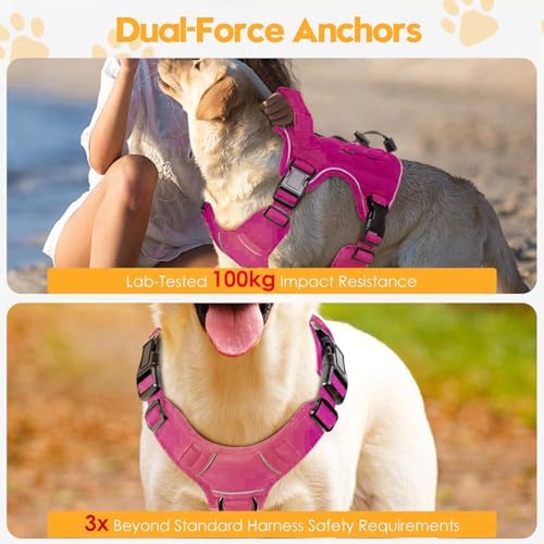 Heavy-Duty Tactical Dog Harness - Image 4