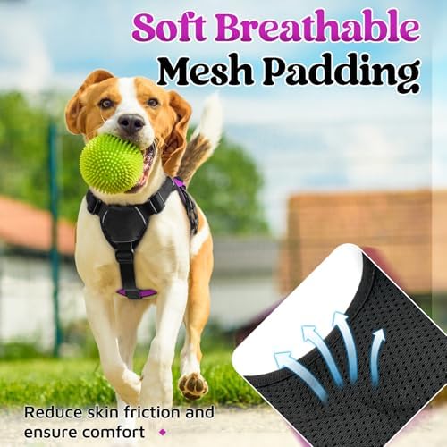 rabbitgoo Escape Proof Dog Harness - Image 6