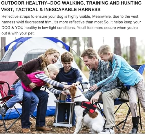 Dogshood No Pull Harness, Dogshood Harness - Image 4