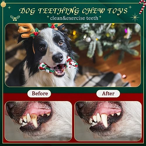 24 Pcs Christmas Dog Rope Toys Puppy Chew Teething, Funny Style - Image 4