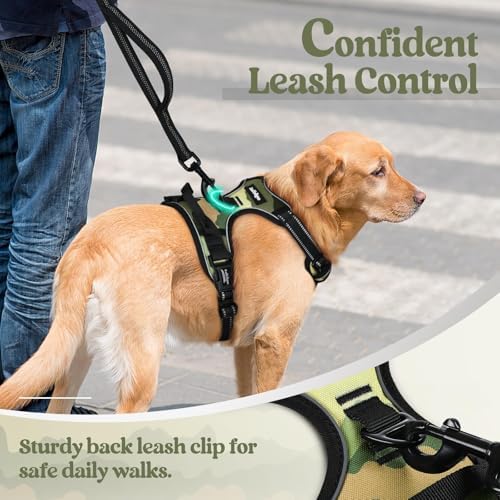 rabbitgoo Dog Harness, No Pull for Small Dogs - Image 6