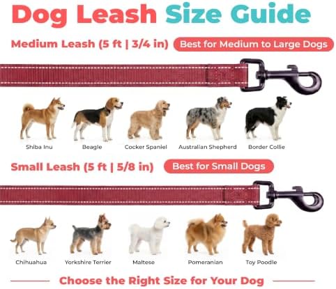 Best Pet Supplies Voyager Nylon Dog Leash - Image 6