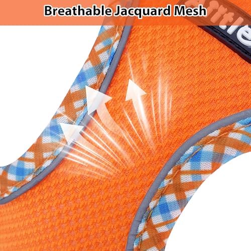 AIITLE Medium Dog Harness and Leash Set - Image 2