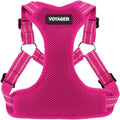 Voyager Step-in Flex Adjustable Dog Harness by BestPetSuppliesLLC