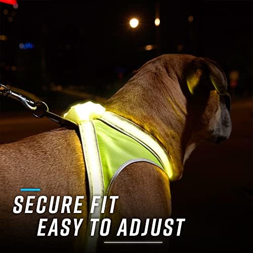 noxgear LightHound Light Up Reflective Dog Harness - Image 5