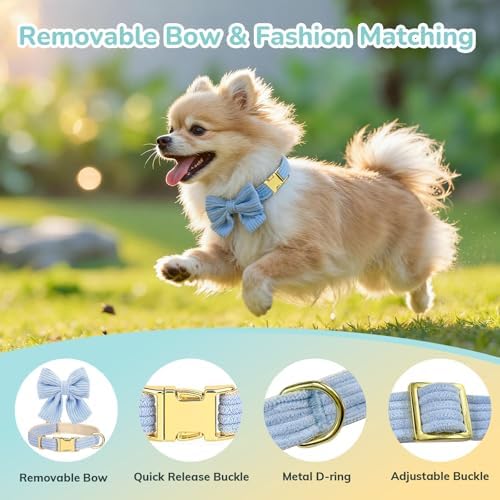 Small Dog Collar Harness and Leash Set, Dog Harness no Pull - Image 4