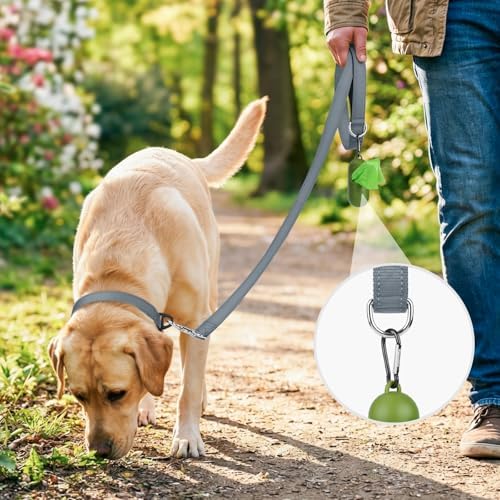 Joytale Reflective Dog Leash for Small Dogs, 4 FT x 3/4" - Image 2