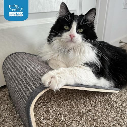 Best Pet Supplies Catify Cat Scratching Ramp - Image 6