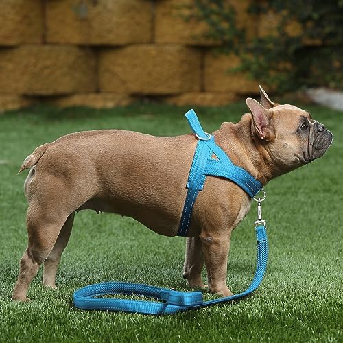 Plutus Pet No Pull Dog Harness for Medium Sized Dog, Breathable Mesh Padded - Image 5