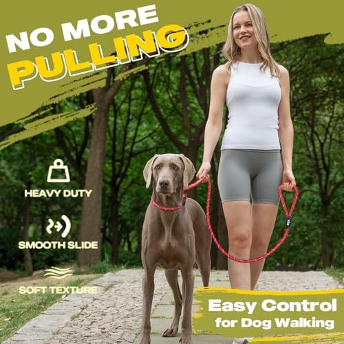 Fida Slip Lead Dog Leash 5 Pack, 6 FT x 1/2" Dog Training Leash - Image 2