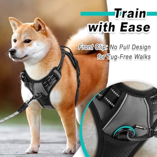 BARKBAY Dog Harness for Small Sized Dog No Pull 2 Leash Clips Dog Vest - Image 2
