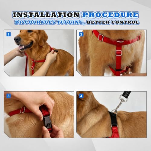 Freedom No Pull Dog Harness - Image 4