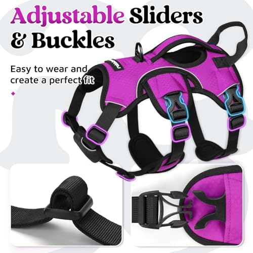 rabbitgoo Escape Proof Dog Harness - Image 7
