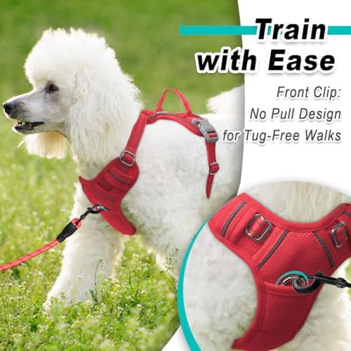 BARKBAY Dog Harness for Small Sized Dog No Pull Mesh 2 Clips Dog Vest - Image 2