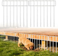 HIHADUUM 20Ft X 13Inch Animal Barrier Fence by HIHADUUM