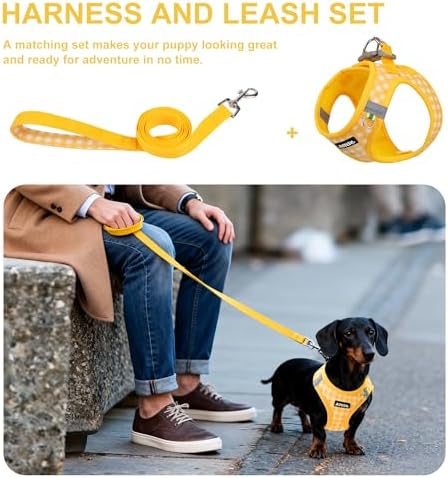 AIITLE Step in Medium Dog Harness and Leash Set, Puppy Pet Vest - Image 3