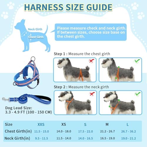 SlowTon No Pull Small Dog Harness and Leash Set - Image 5
