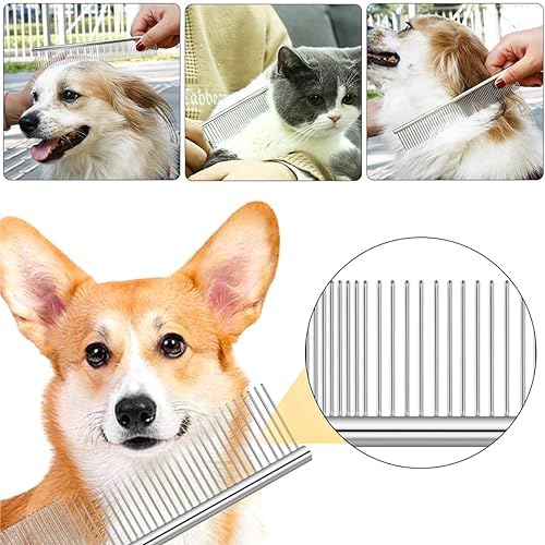 4 PCS Stainless-Steel Comb Dog Combs - Image 7