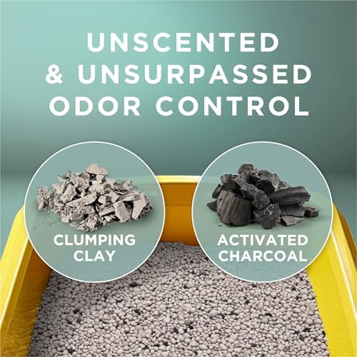 Purina Tidy Cats Free and Clean Unscented Clumping Cat Litter, 38 lb Box - Image 5