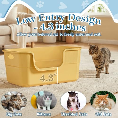 2 Pack Low Entry Litter Box for Kittens & Senior Cats, High Sided Litter Boxes - Image 2