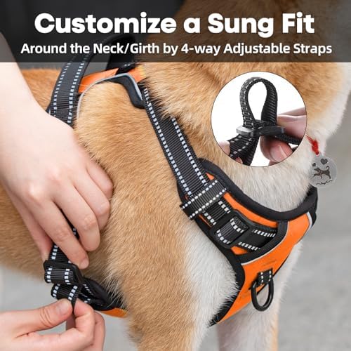 PoyPet No Pull Dog Harness Large, Reflective Vest - Image 4