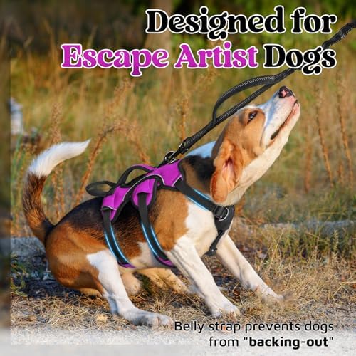 rabbitgoo Escape Proof Dog Harness - Image 2